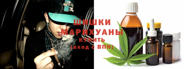 дмт Абаза
