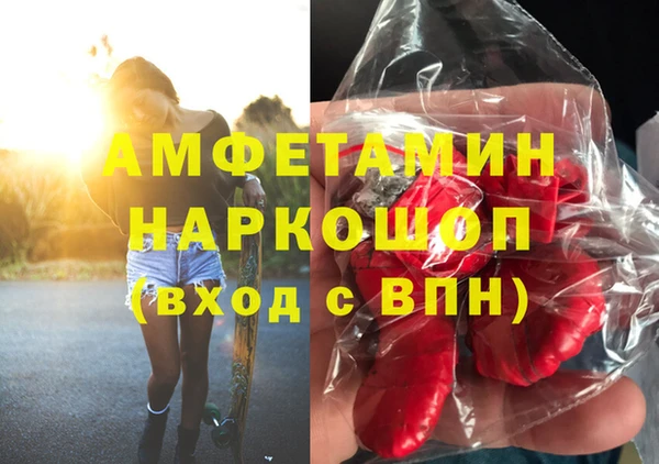 Альфа ПВП Новозыбков